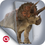 icon ARLOOPA