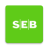 icon SEB 13.0.1