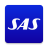 icon SAS 3.16