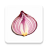icon Onion search engine 1.6.0
