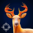 icon Deer Hunting: Wild Animal Hunting 1.0.38