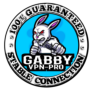icon GABBY VPN-PRO
