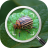 icon Insect Identifier 1.0