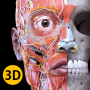 icon Anatomie3D Atlas