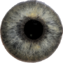 icon Eye Diagnosis