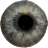 icon Eye Diagnosis 1.3.12
