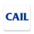 icon CAIL 6530 15.0