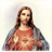 icon Cristo 4.5.1