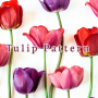 icon Tulip Pattern