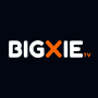 icon BigXie TV