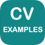 icon CV Examples