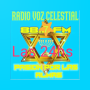 icon Voz Celestial FM