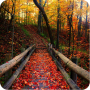 icon 1080p Autumn Backgrounds
