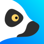icon Lemur Browser - extensions