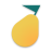 icon Pyrus 4.204.041