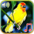 icon Birds sounds ringtones 1.1