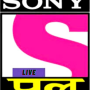icon Sony pal