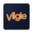 icon Viigle 6.32