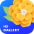 icon Gallery 1.0