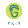 icon Gestug