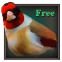 icon Birdquiz Free
