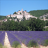 icon Provence 1.11